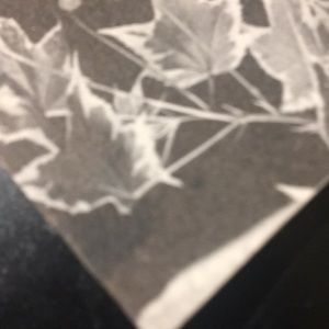 Meet your Posher, 4x5x